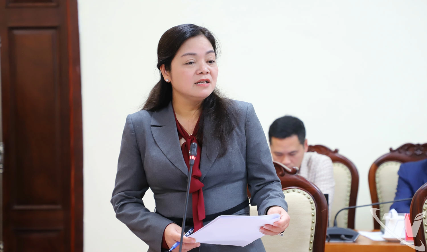 Đồng chí Nguyễn Thị Loan, Phó Chủ tịch UBND tỉnh, phát biểu tại Hội nghị.