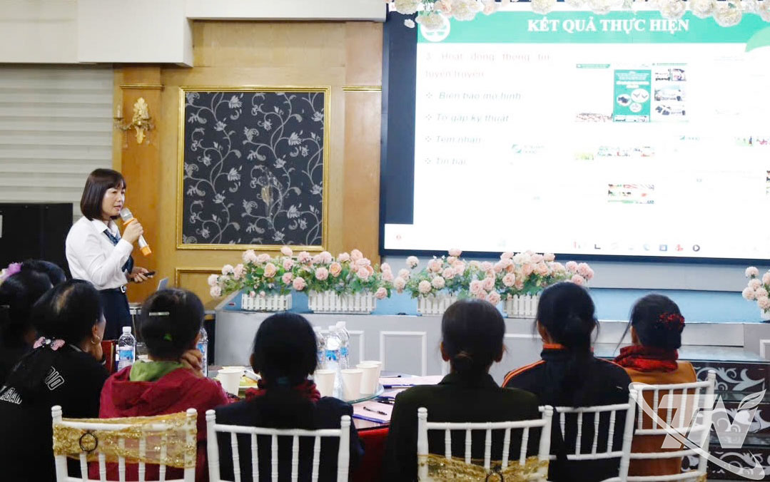 Các đại biểu dự Hội nghị.