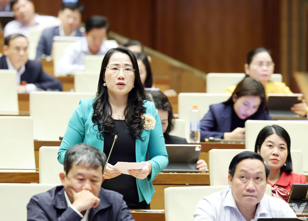 đại biểu Nguyễn Thị Thủy (Đoàn ĐBQH tỉnh Thái Nguyên)