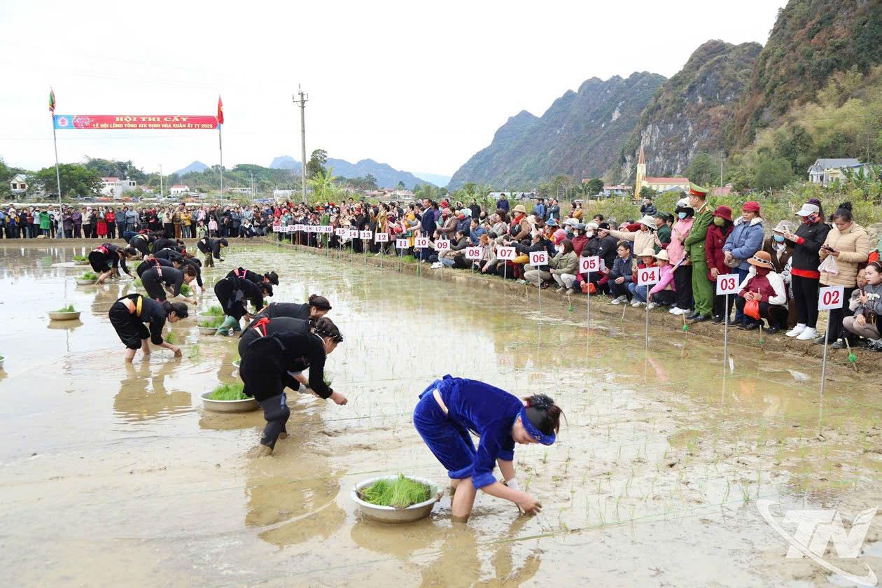 Thi cấy tại Lễ hội Lồng tồng ATK Định Hóa.