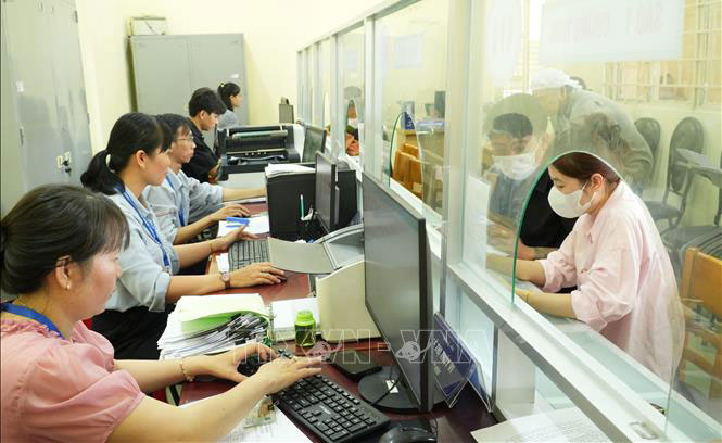 Ảnh minh họa: Hữu Duyên/TTXVN