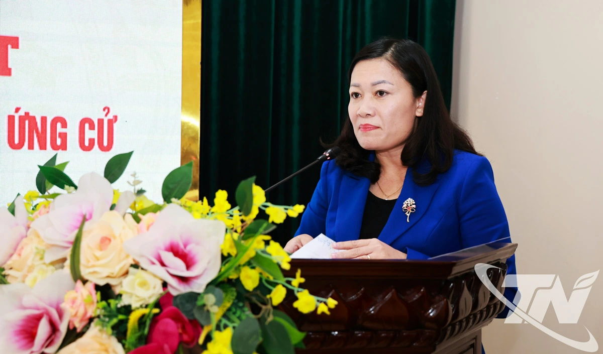 Đồng chí Mai Thị Thúy Nga, Phó Chủ tịch HĐND tỉnh, Ủy viên Ủy ban bầu cử tỉnh trình bày các văn bản của Ủy ban Thường vụ Quốc hội về dự kiến phân bổ số lượng và cơ cấu đại biểu Quốc hội khóa XVI.