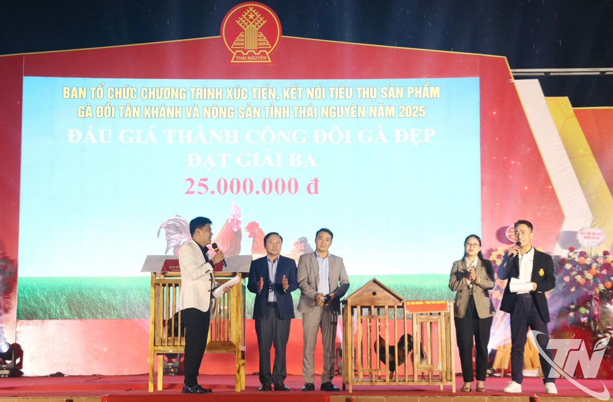 Ban Tổ chức đấu giá các đôi gà đạt giải cao ủng hộ Quỹ Vì người nghèo.