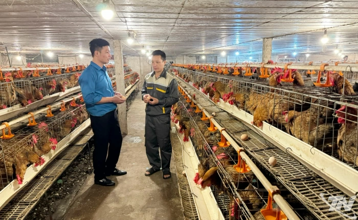 Khởi nghiệp 'xanh' trên đất Kha Sơn