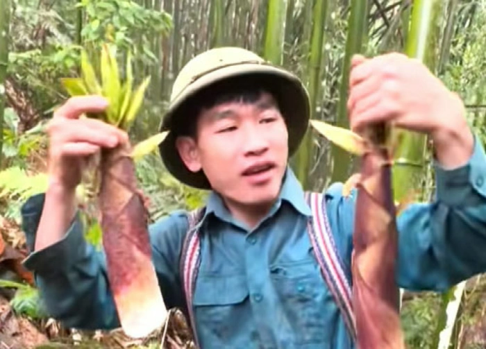 Hái lộc rừng đầu mùa