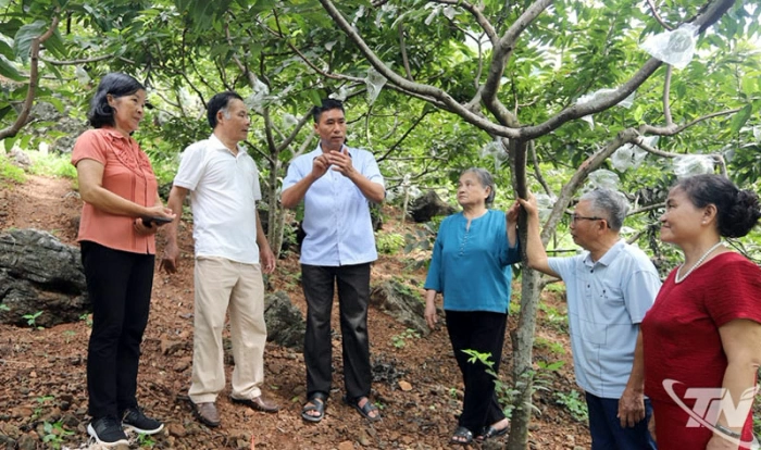 Chuyển đổi số 'mở lối' cho hợp tác xã