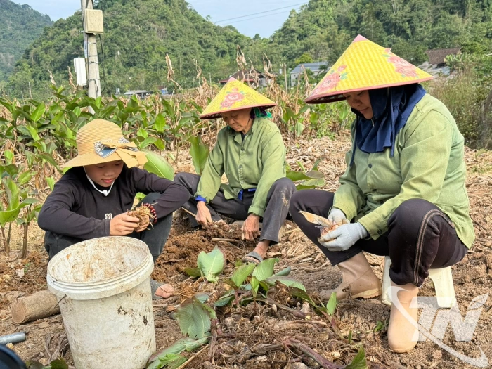 Na Rì chuyển mình từ những chính sách dân sinh
