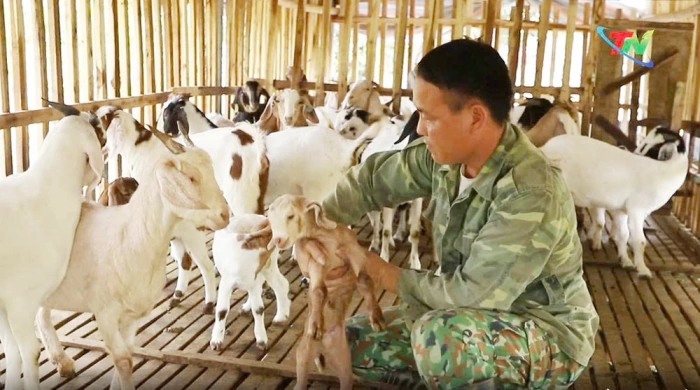 Hiệu quả bước đầu của mô hình nuôi dê ở xóm Đồng Tâm