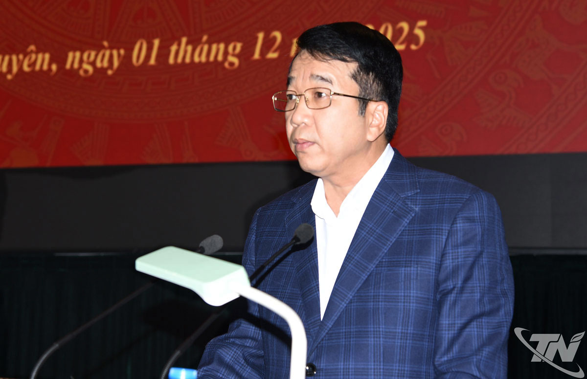 Đồng chí Nguyễn Thanh Bình phát biểu chỉ đạo.