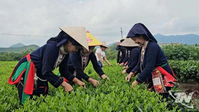 Thay đổi cách nghĩ trong sản xuất, nâng cao đời sống