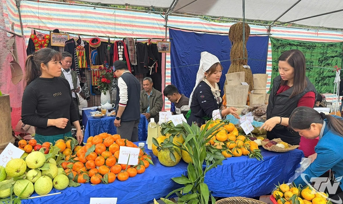 축제에 전시된 농업 노점.