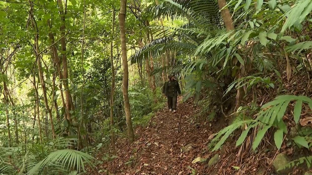 현재 성 전체에는 총 육 만 사 천 헥타르가 넘는 여섯 개 특별용도림이 있으며, 이들 지역은 보호가 강화되고 있습니다.