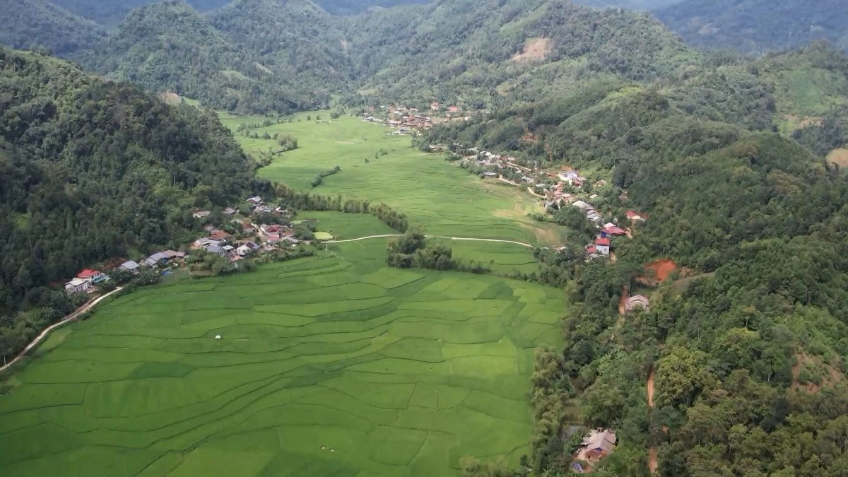 이천이십오년에는 백이십사 빈곤 가구에 대해 생산용 토지 지원 및 직업 전환을 실시했으며.