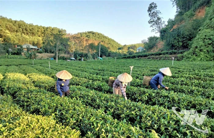 Điểm sáng trong xây dựng đời sống văn hóa