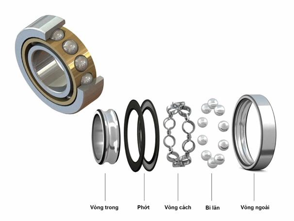 Vòng bi cầu có phần tử lăn là bi hình cầu.