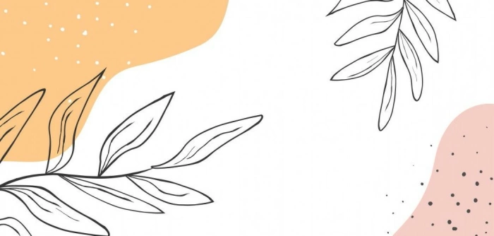 Hồ Triệu Sơn - nhà thơ áo lính