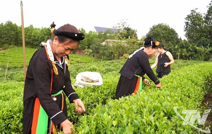 'Chìa khóa' giảm nghèo ở một xã miền núi