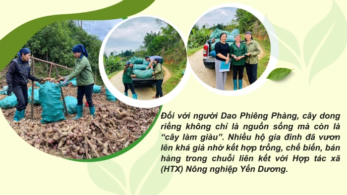 Hương vị núi rừng trong từng sợi miến