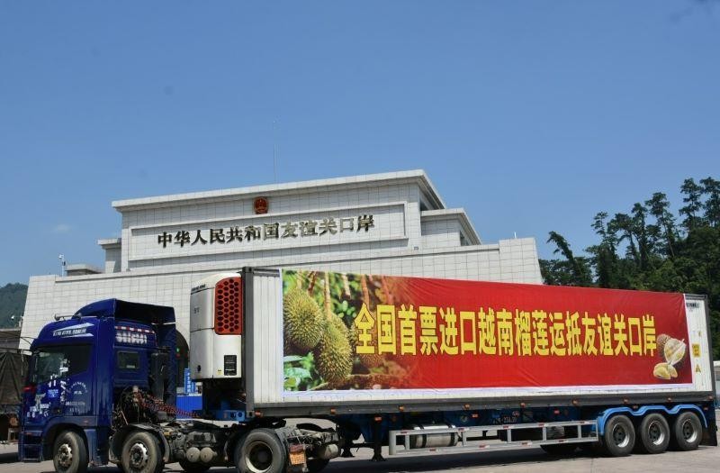 Lô hàng sầu riêng Việt Nam đầu tiên xuất khẩu sang Trung Quốc qua cửa khẩu Hữu Nghị Quan, Quảng Tây. (Ảnh: Nhật báo Quảng Tây)