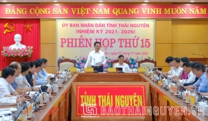 Phiên họp thứ 15 UBND tỉnh: Dự báo sát tình hình, triển khai quyết liệt, đồng bộ các nhiệm vụ, giải pháp