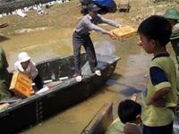 83 người chết và mất tích, thiệt hại gần 2.000 tỉ đồng