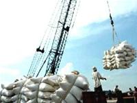 Cảnh báo dư lượng kháng sinh trong gạo xuất khẩu sang Nhật Bản