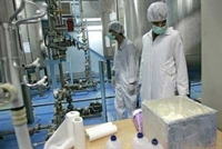 IAEA muốn Iran chấp nhận thỏa thuận vào cuối năm nay