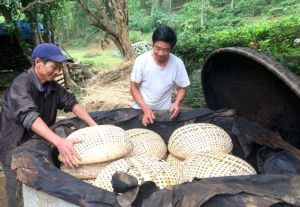 Làng nghề Mây, tre đan vào vụ