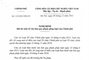 Chính phủ bãi bỏ 13 văn bản quy phạm pháp luật