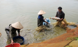 Hàng hóa chất lượng cao có cơ hội vào siêu thị