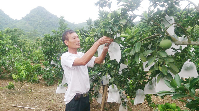 Sau những lớp dạy nghề