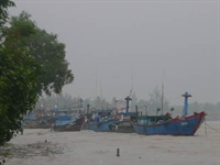 Các địa phương khẩn trương phòng, chống bão số 10