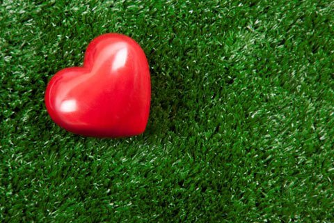 Tình yêu làm người chết sống lại