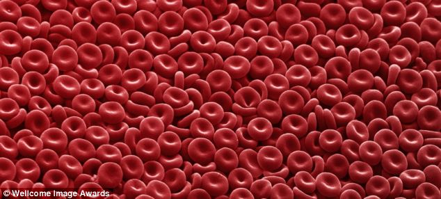 Phát minh “siêu máu” miễn dịch với điôxin