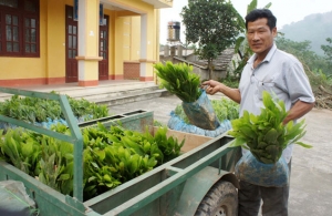 Chăm lo đời sống đồng bào dân tộc thiểu số