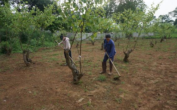 Khi nghị quyết “thấm” vào cuộc sống