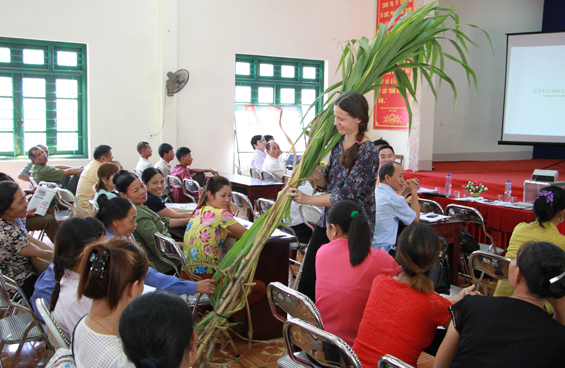 NuiPhao Mining tổ chức hội thảo về cây năng lượng