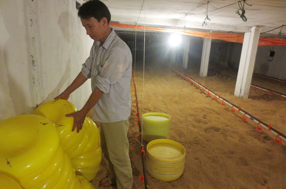 Triệu phú trang trại trên đất phố