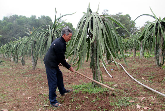 Người thương binh “Tàn nhưng không phế”