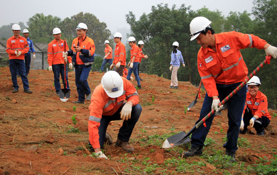 Trồng cây hưởng ứng Chiến dịch Giờ Trái đất