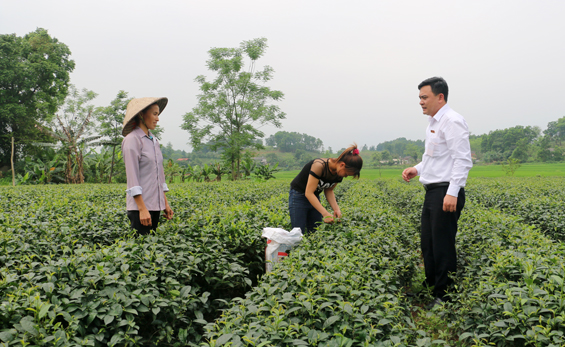 Bảo an tín dụng: Mô hình mang lại hiệu quả kép