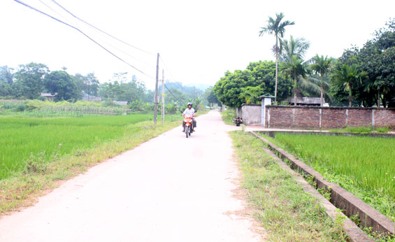 Không chỉ là một con đường