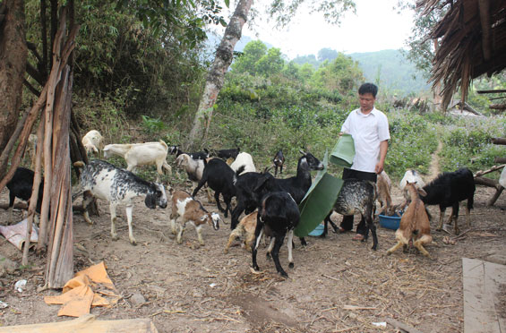 Hạn chế tối đa hoạt động đầu tư tín dụng vào bất động sản