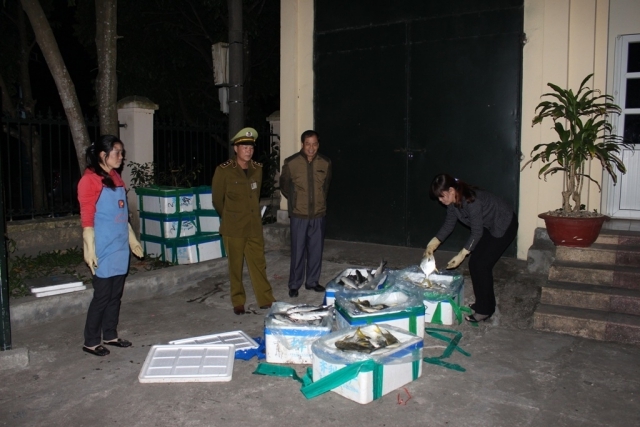 Thu giữ hơn ba tạ cá đối, cá chim không rõ nguồn gốc