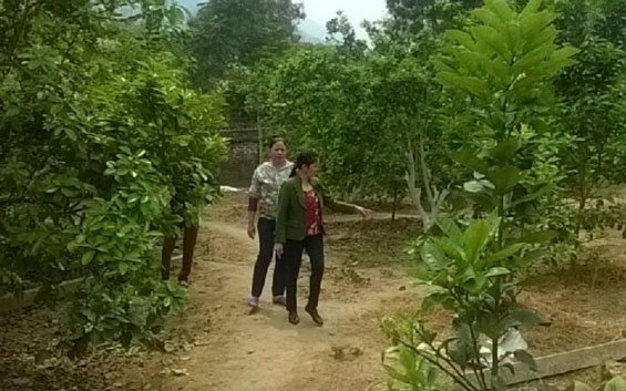 Yên Lãng giảm nghèo bằng nội lực