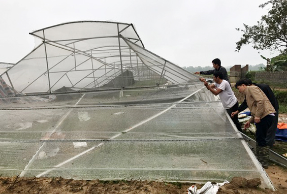 Mưa to và lốc gây thiệt hại ở Đại Từ