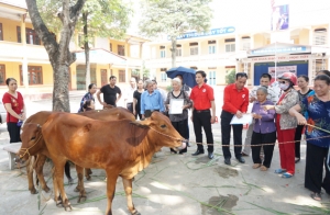 Tặng bò sinh sản cho cựu giáo chức có hoàn cảnh khó khăn 