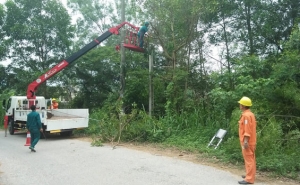 Giải tỏa hành lang an toàn lưới điện