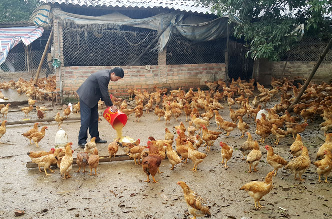 Tiên Phong tập trung phát triển kinh tế