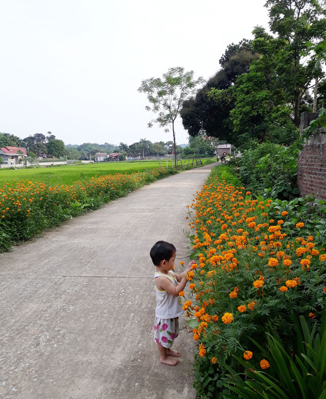 Làng quê thanh bình.